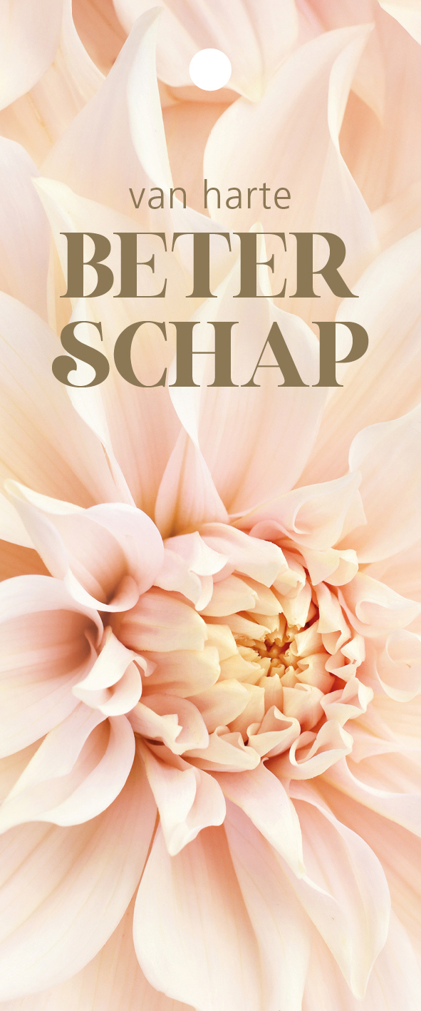 beterschap-langwerpig