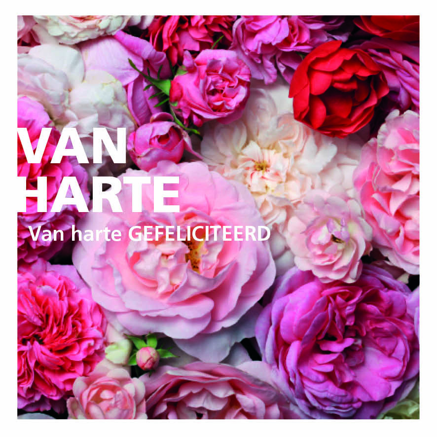 van-harte-vierkant