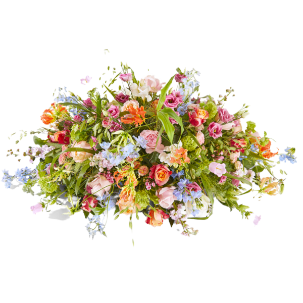 volop-in-het-leven-ovaal